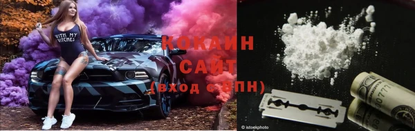 apvp Горнозаводск