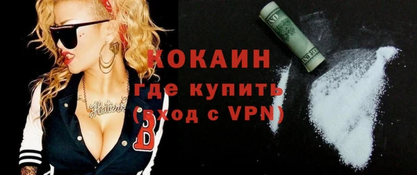 ГАЛЛЮЦИНОГЕННЫЕ ГРИБЫ Горняк