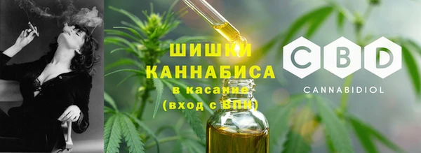 ГАЛЛЮЦИНОГЕННЫЕ ГРИБЫ Горняк