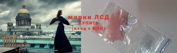 мяу мяу мука Вязьма