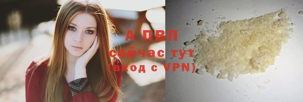 apvp Горнозаводск