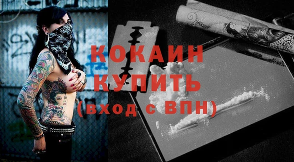 ГАЛЛЮЦИНОГЕННЫЕ ГРИБЫ Горняк