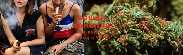 apvp Горнозаводск